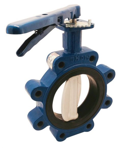 2-1/2″ (63mm) Butterfly Valve | Industrial Process Systems